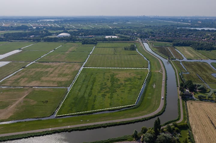 Westerdijk, Wijdewormer