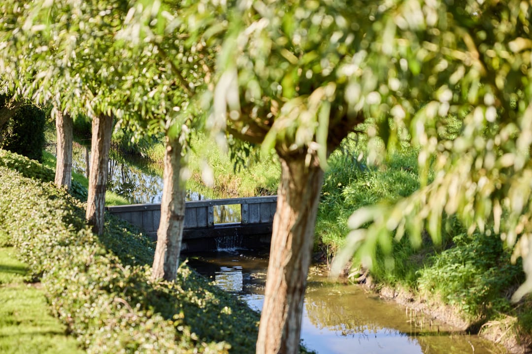 Photo 47 of De Eendracht 13