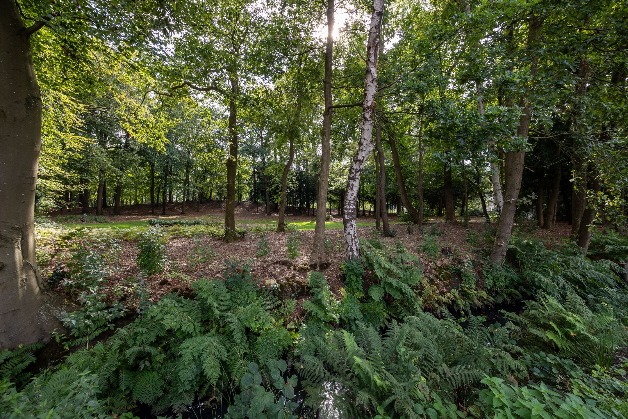 Photo 39 of van der Helstlaan 18