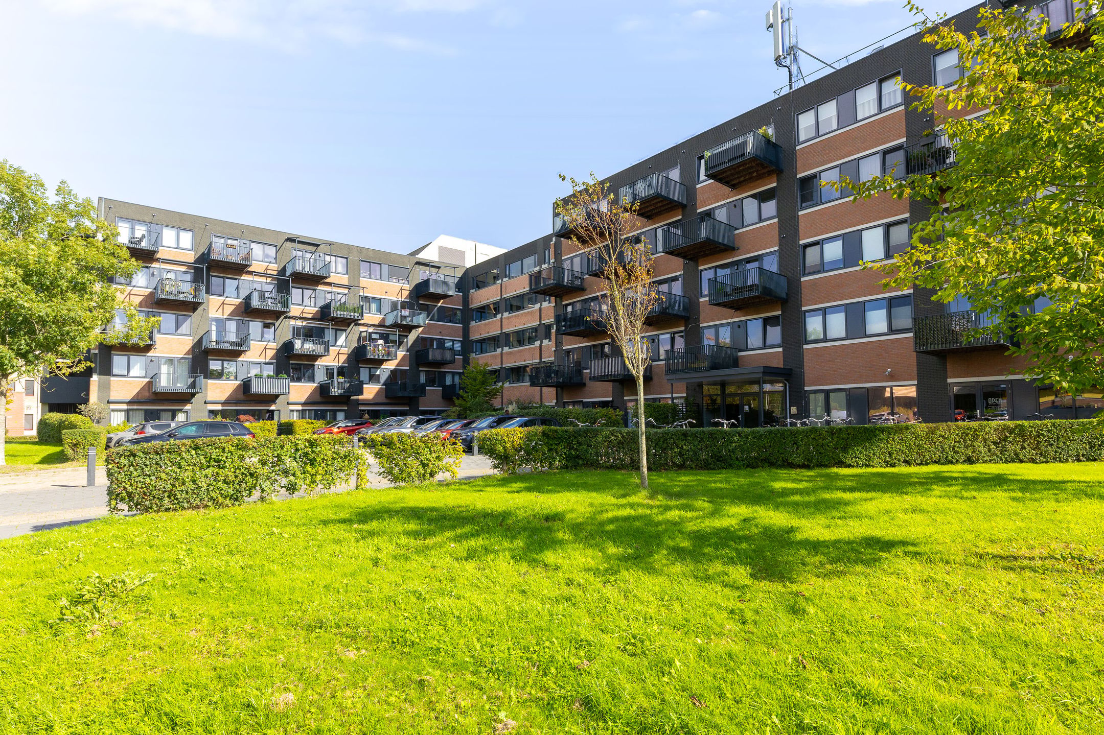 Zandsteen 89