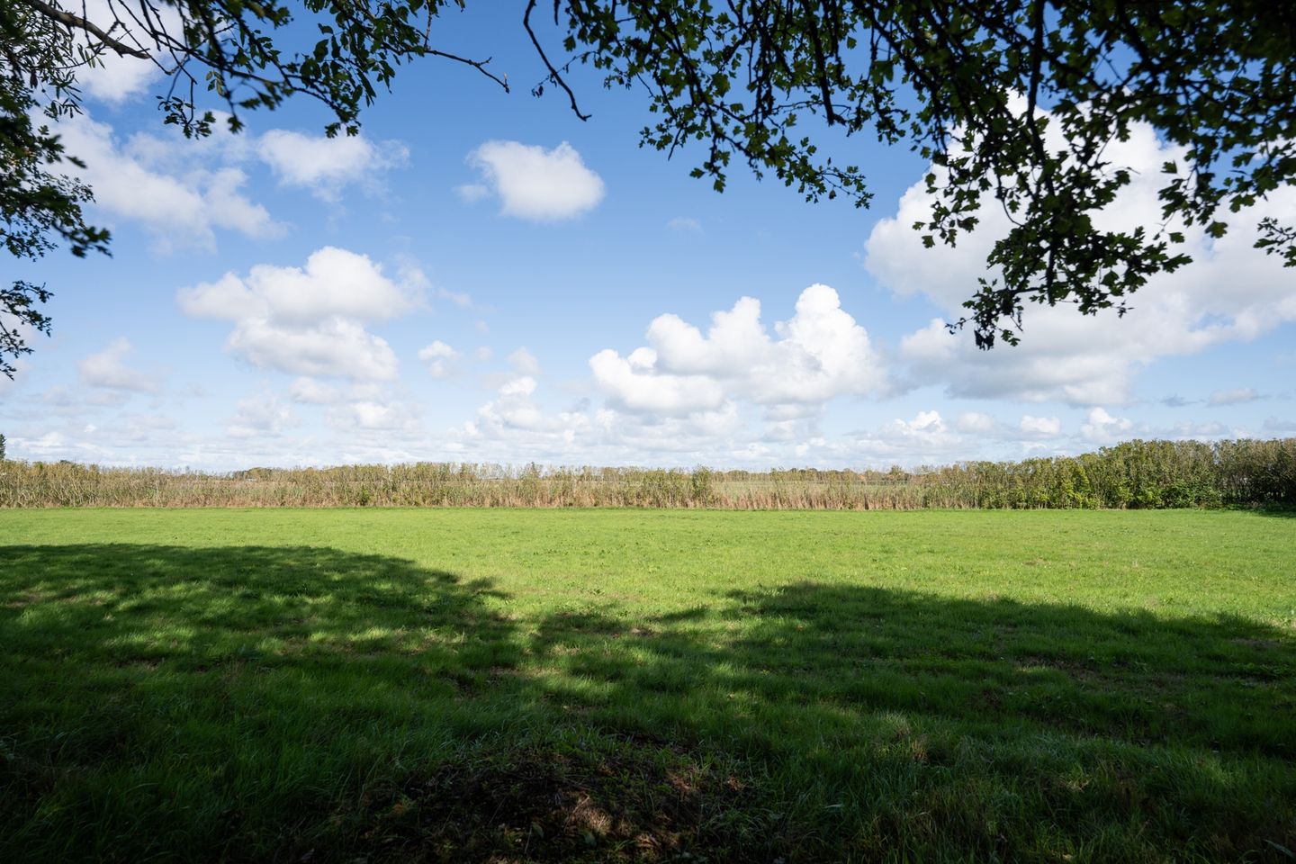 Photo 89 of Oosterenderweg 34