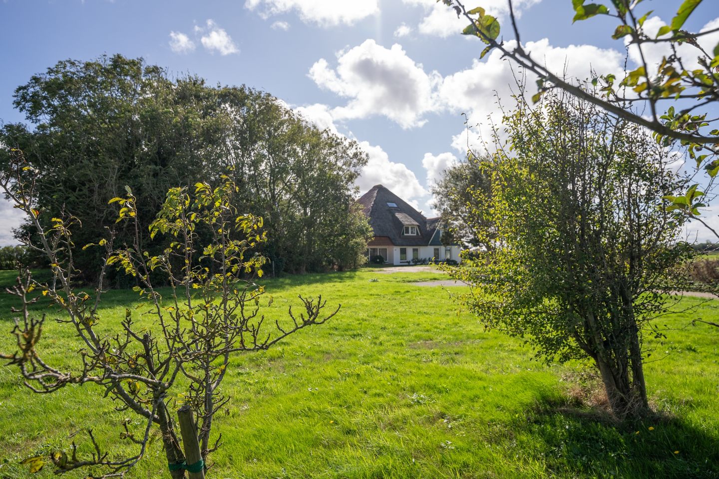 Photo 85 of Oosterenderweg 34