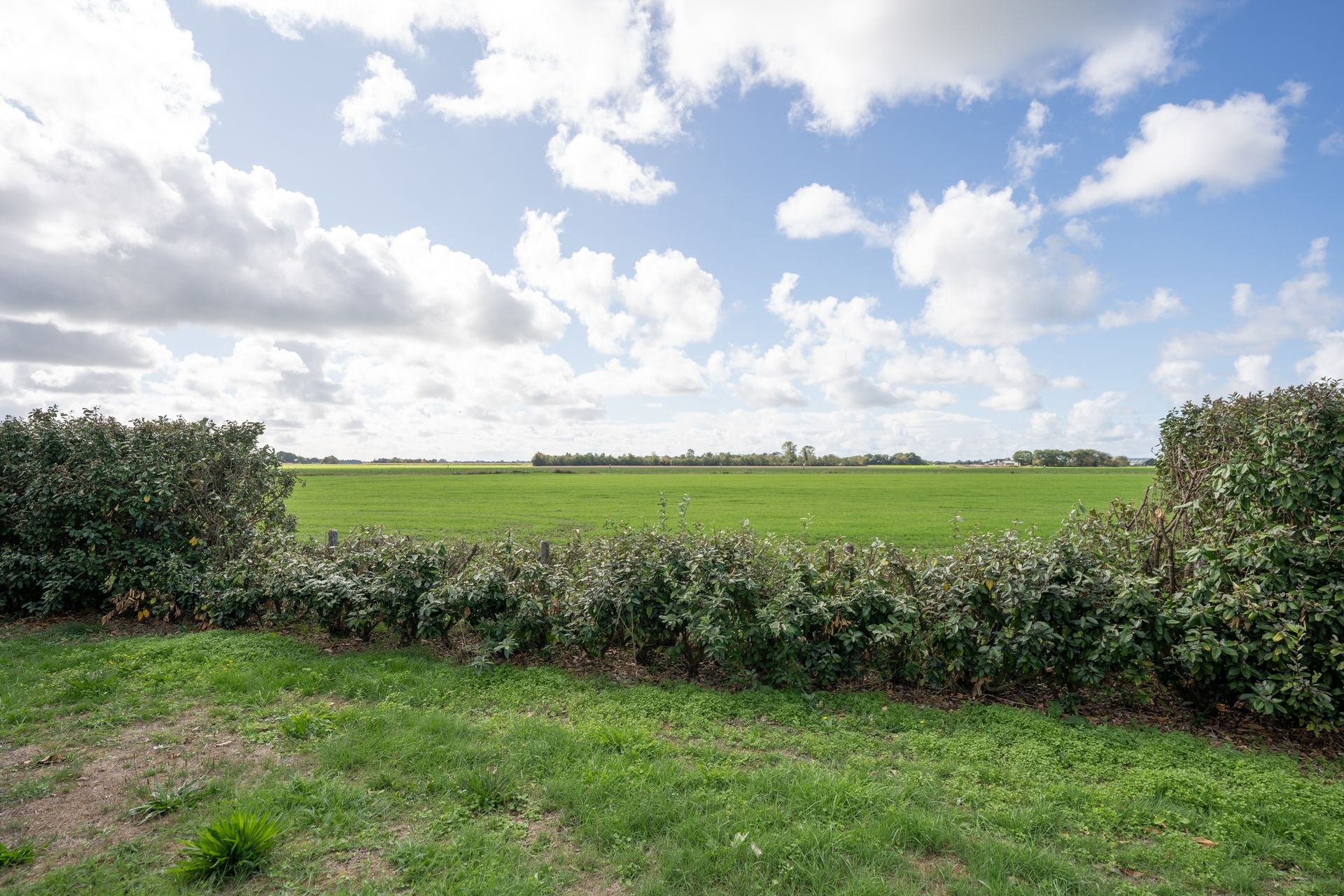 Photo 87 of Oosterenderweg 34