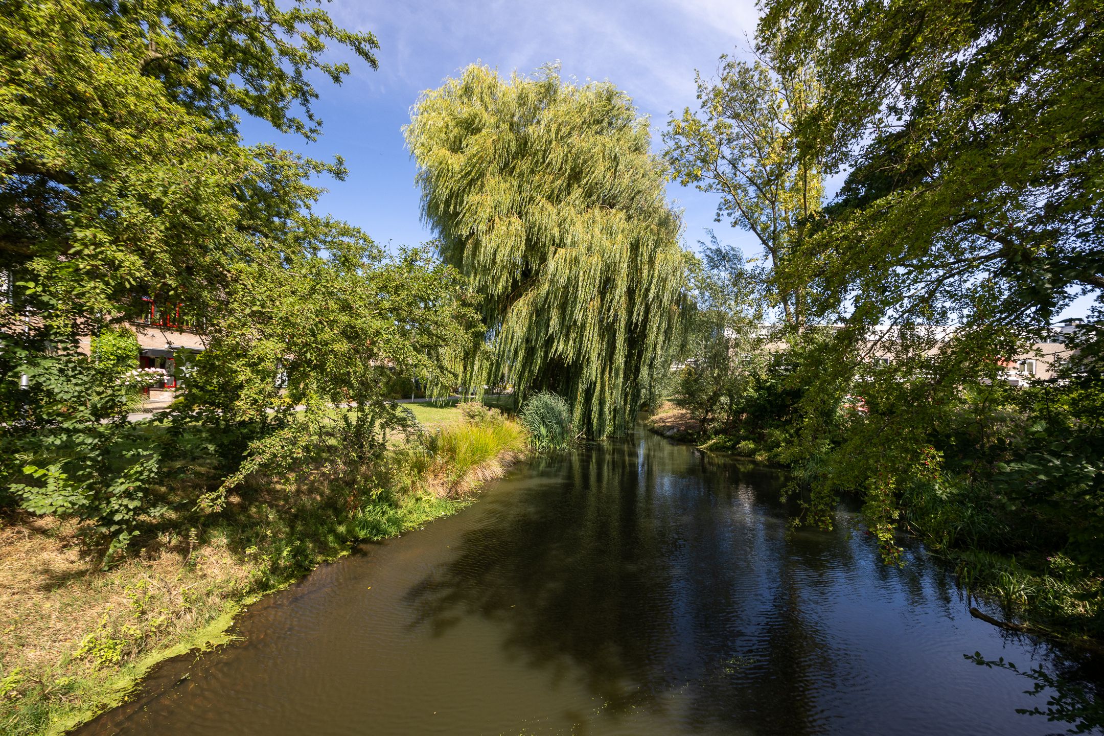 Photo 36 of Groenoord 11