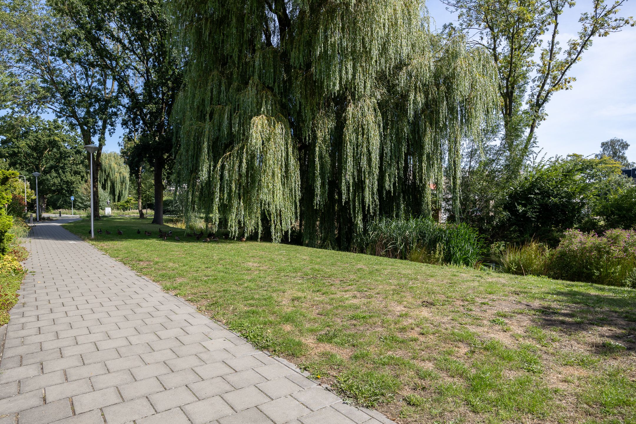 Photo 39 of Groenoord 11