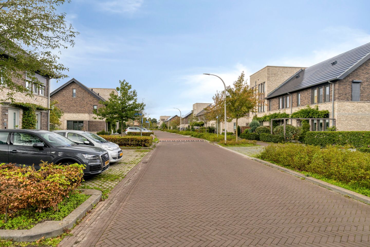 Foto 49 van Pijlstaart 4