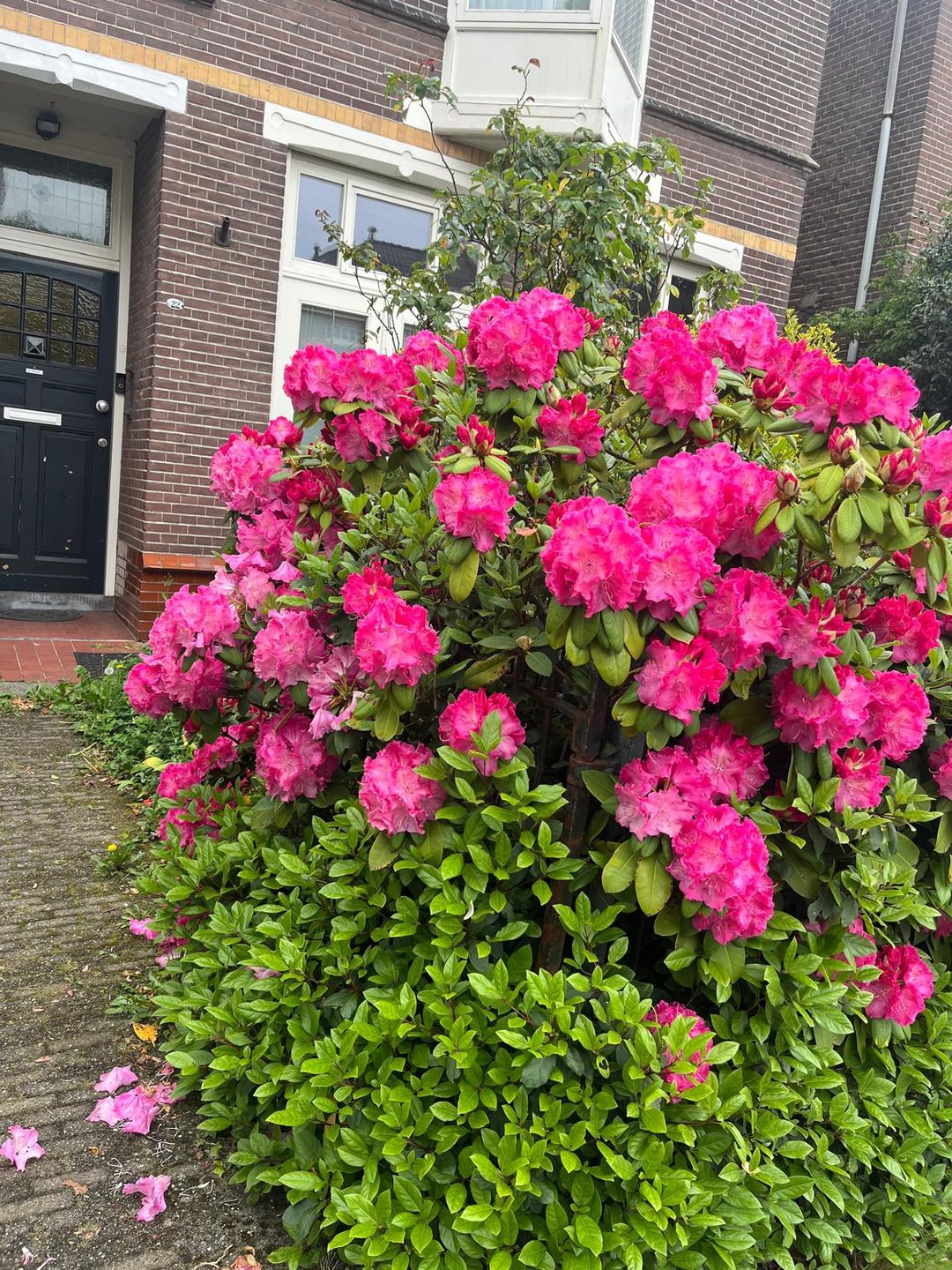 Foto 41 van Mr. van Coothstraat 22