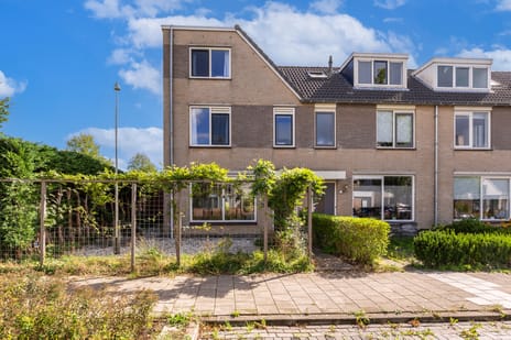 Moerbeeklaan thumbnail