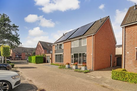 Schutsboom thumbnail