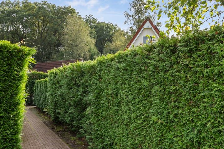 Vrijstaande woning te koop: Het Zwiggelterveld 88, Zwiggelte