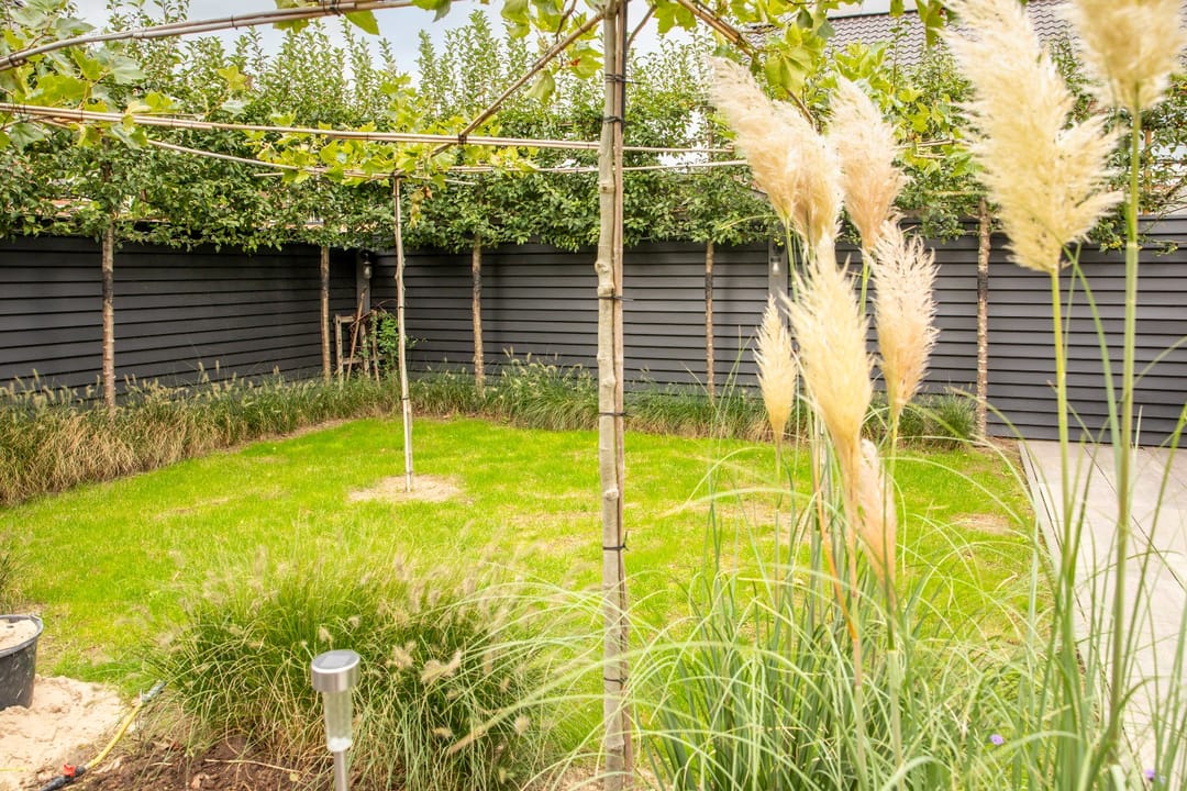 Photo 52 of Burgemeester D J Pottstraat 1
