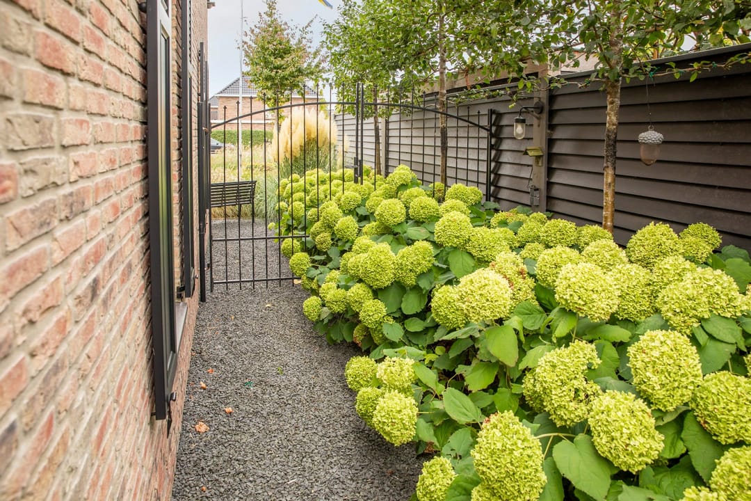 Photo 67 of Burgemeester D J Pottstraat 1