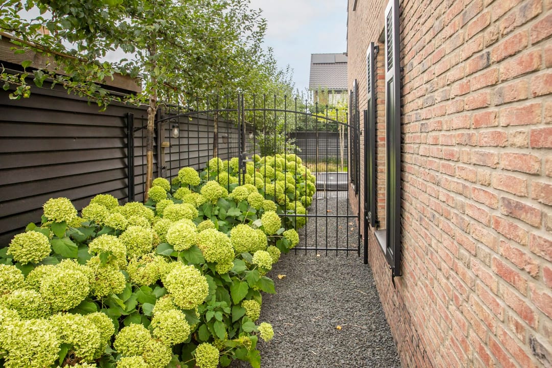 Photo 71 of Burgemeester D J Pottstraat 1