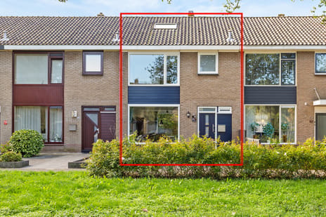 Laan 1954 thumbnail