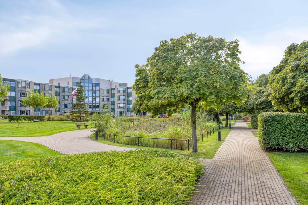 Foto 43 van Noorderstraat 57-F