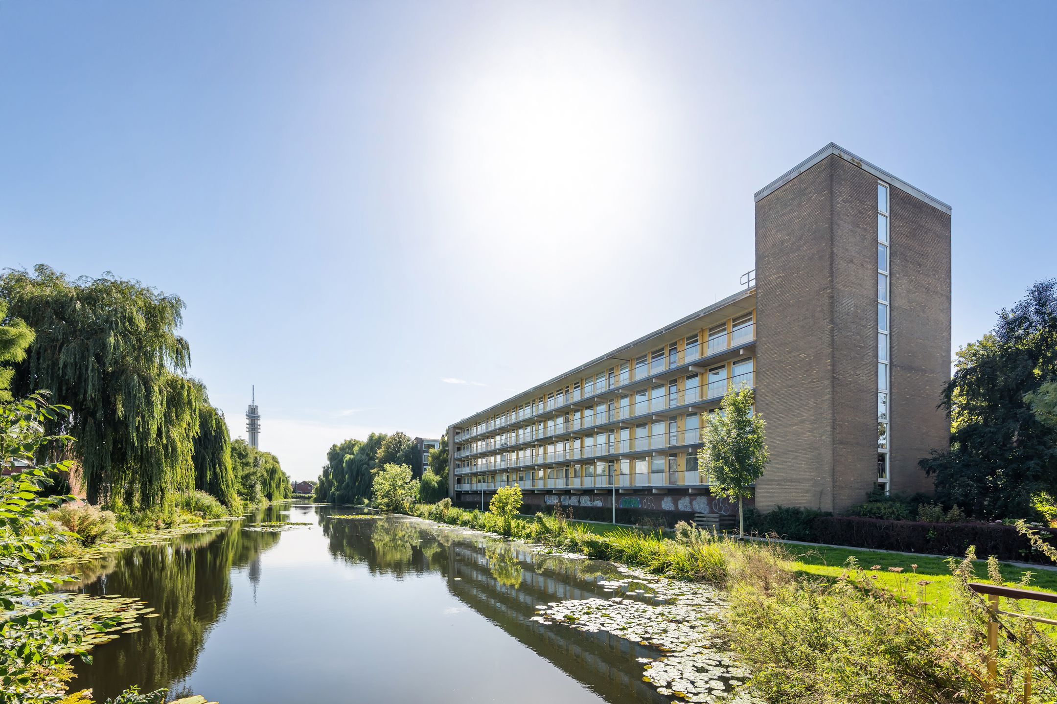 Lijsterstraat 88 