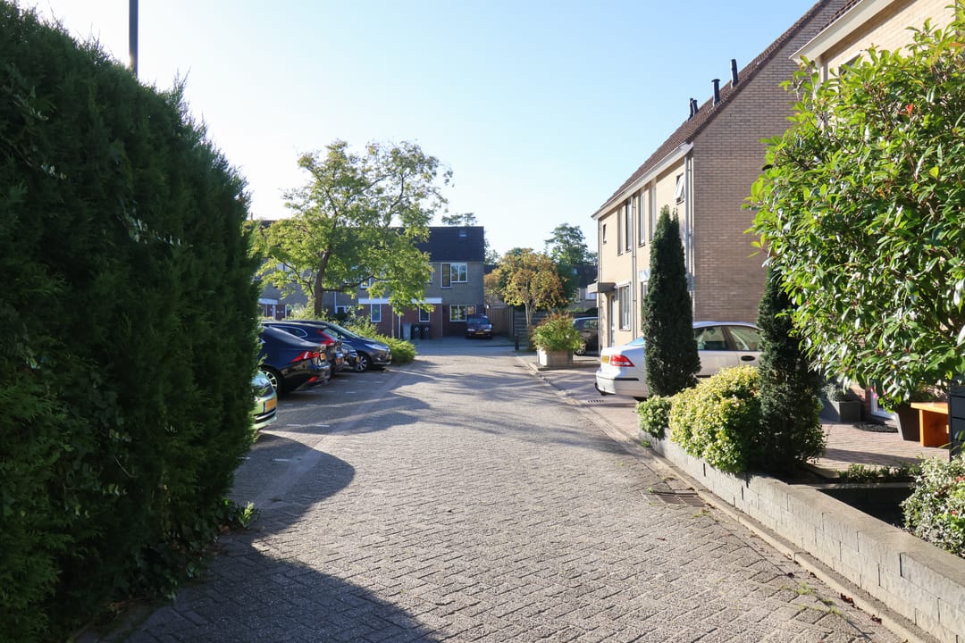 Photo 68 of De Friso 7