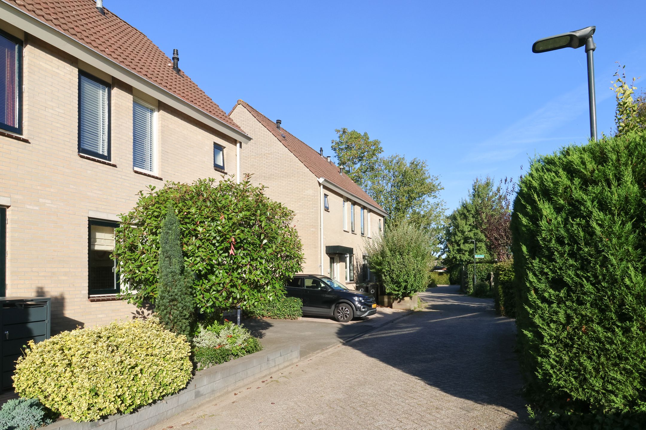 Photo 66 of De Friso 7