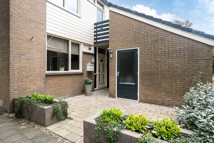 Foto 4 van Veldbies 1