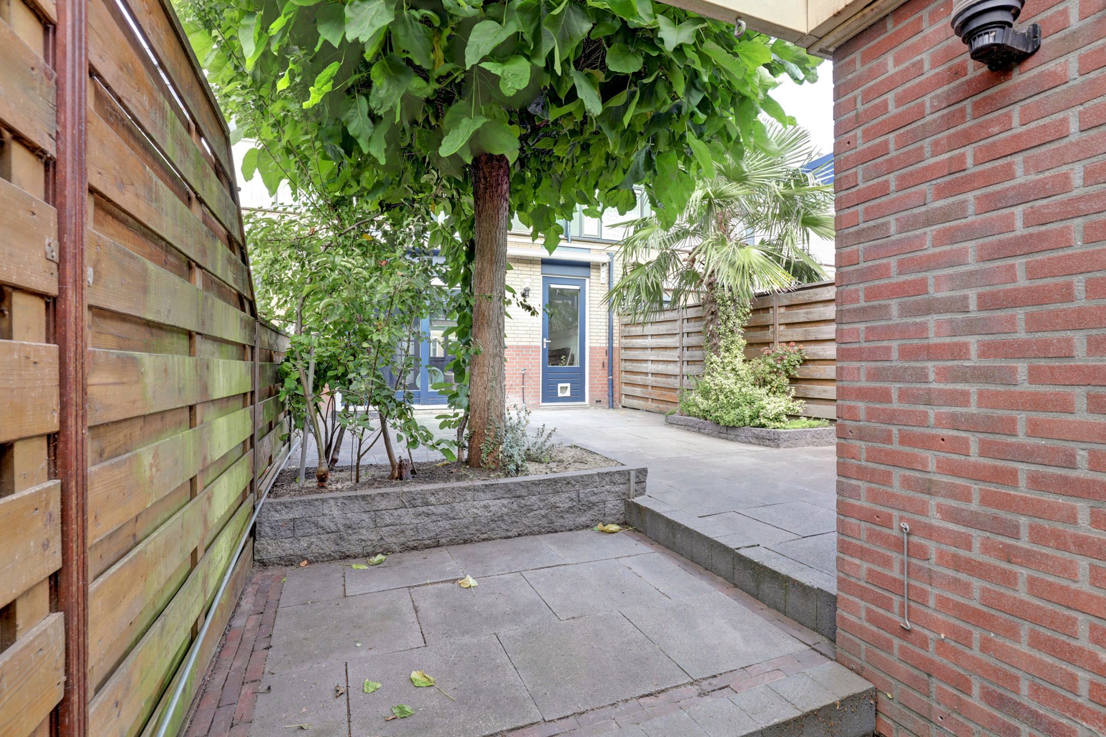 Foto 42 van Koolmees 6