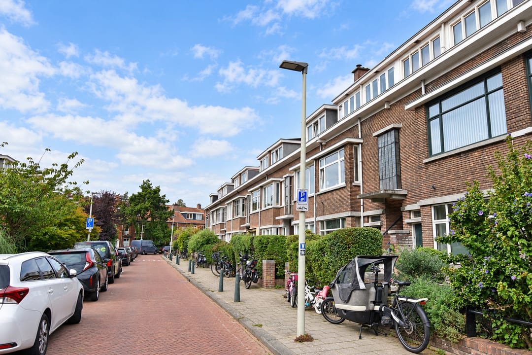 Photo 41 of Goudreinetstraat 119