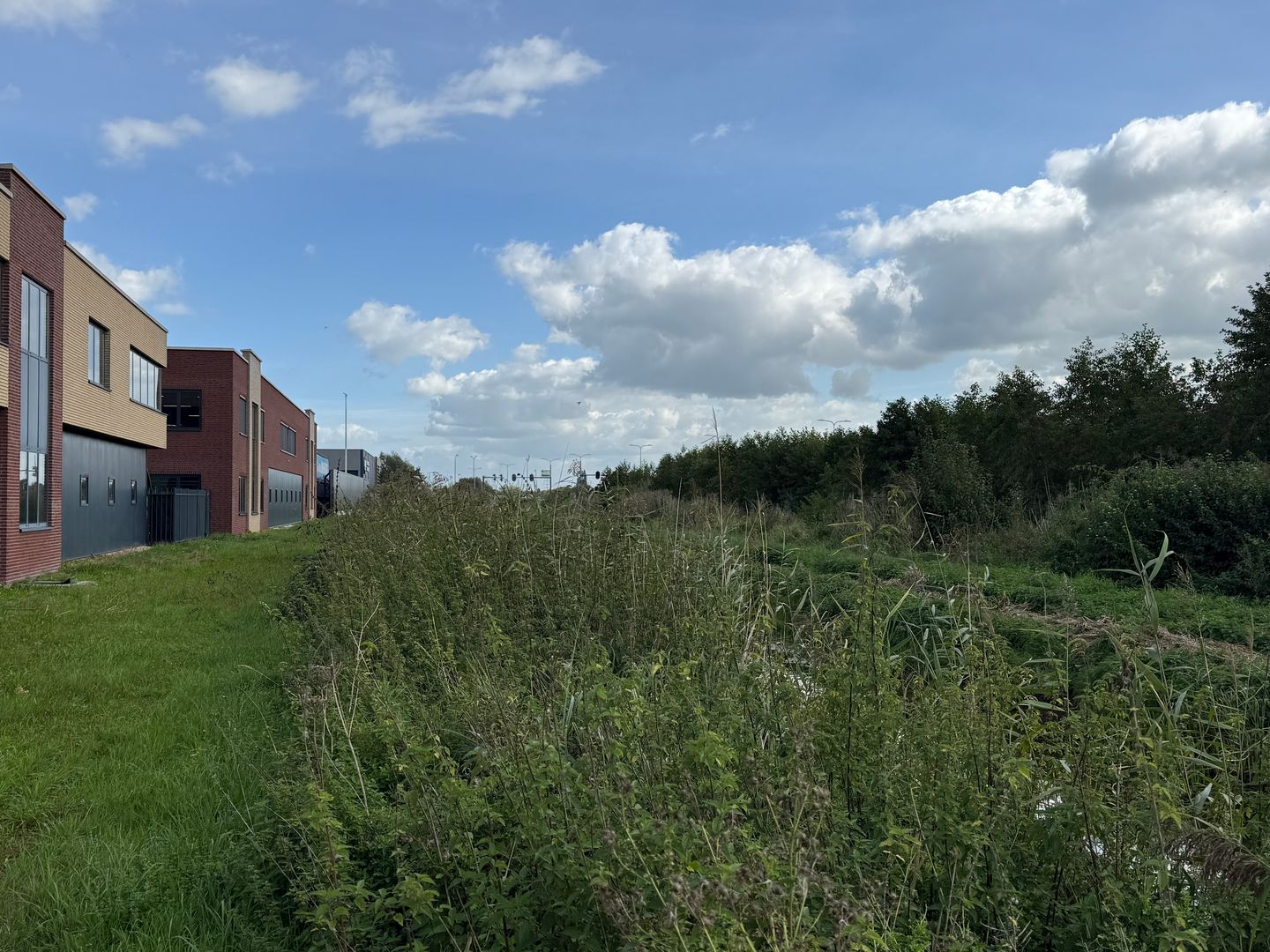Bekijk foto 2 van Bossekamp 3