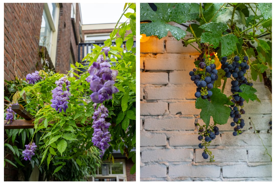 Photo 41 of Busken Huetstraat 24