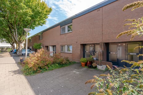 Tholenseweg thumbnail