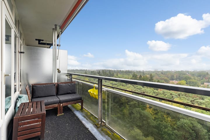 Appartement te koop: Laan van Vollenhove 2531, Zeist