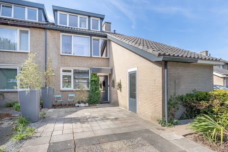 Mambostraat thumbnail