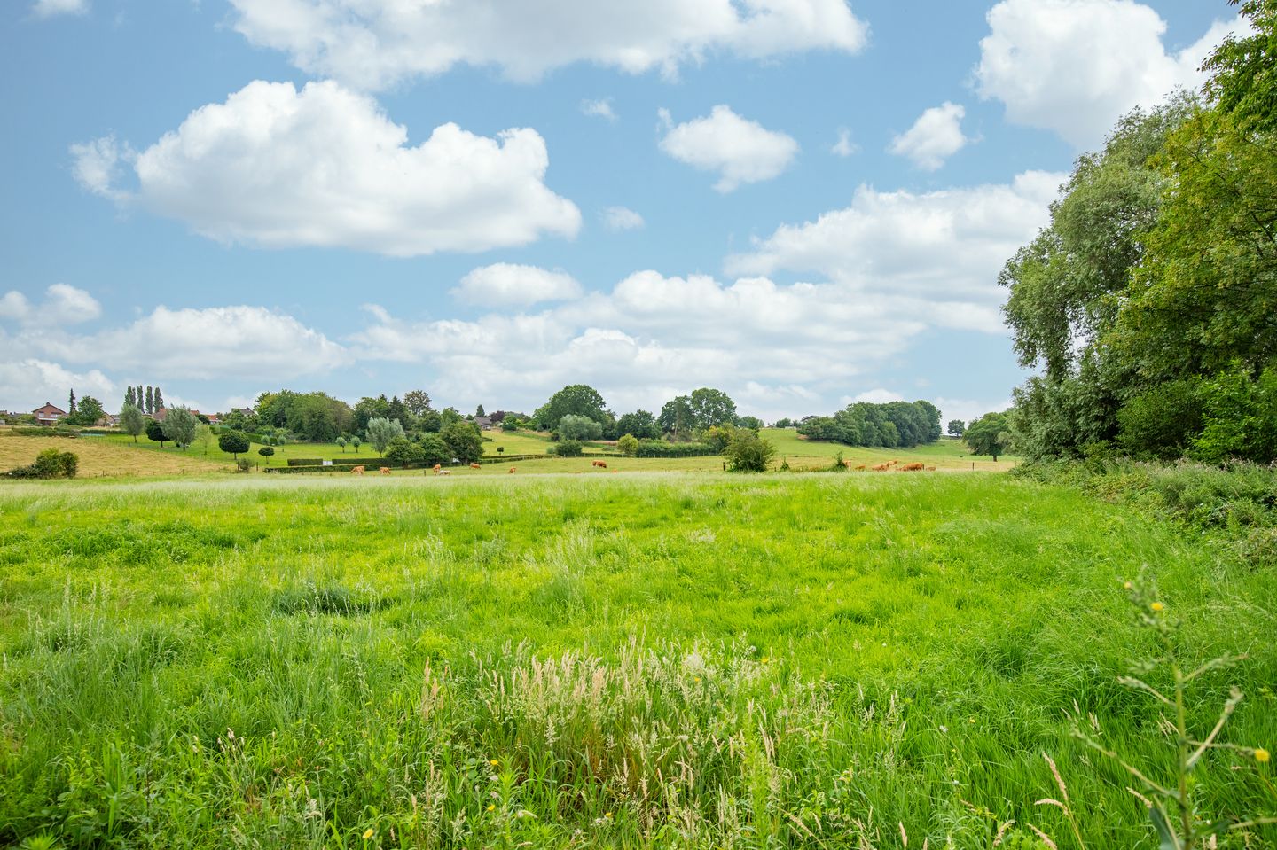 Foto 4 van Bouwkavels (Bouwnr. B)
