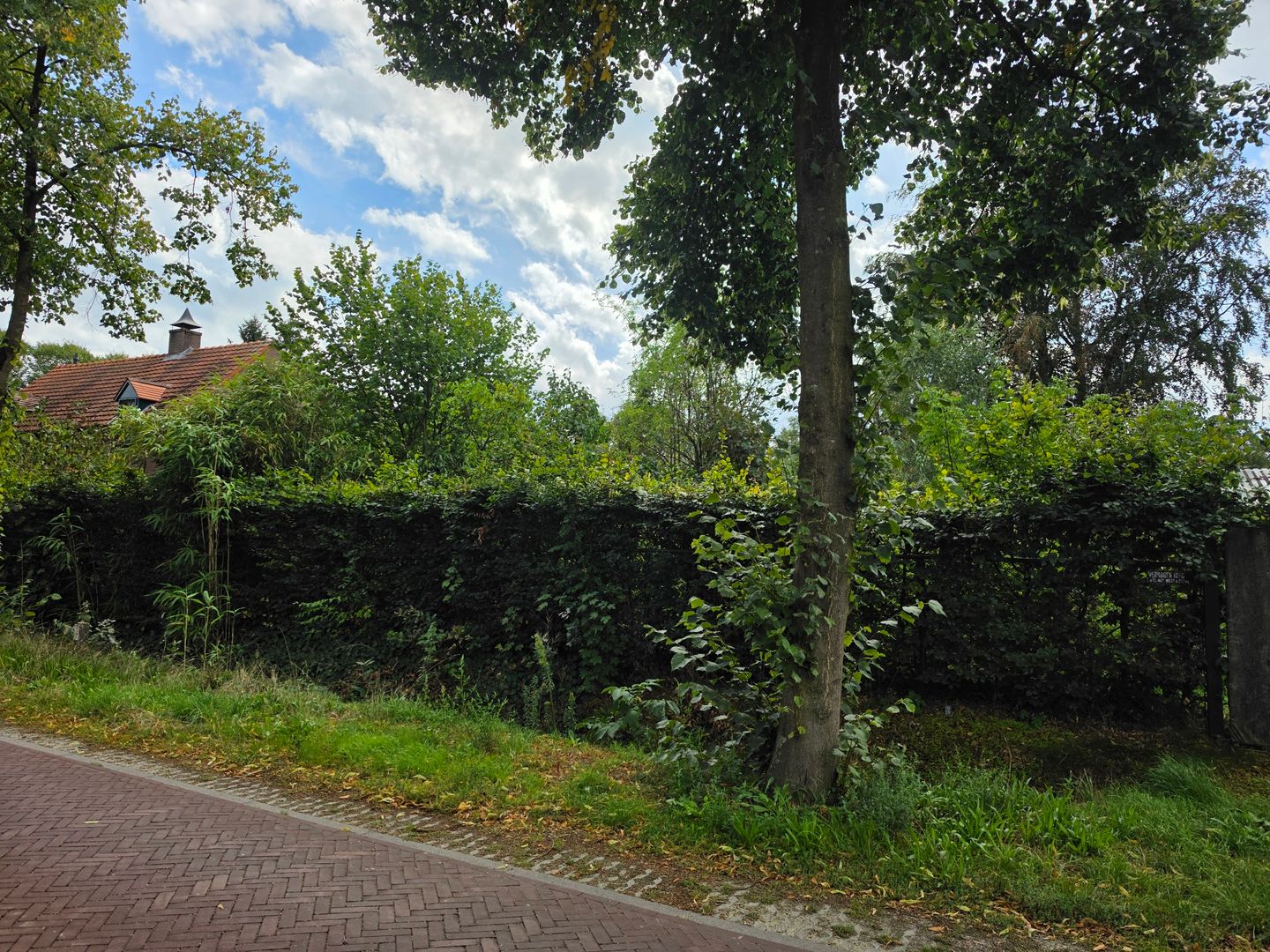 Foto 4 van Zwartakkers