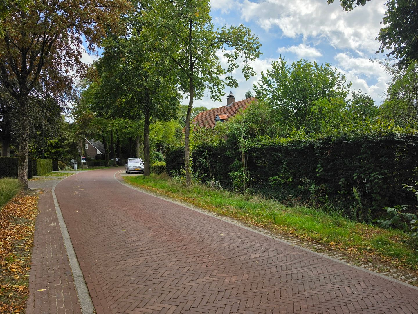 Foto 5 van Zwartakkers