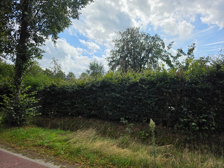 Woning te koop: Zwartakkers, Bladel