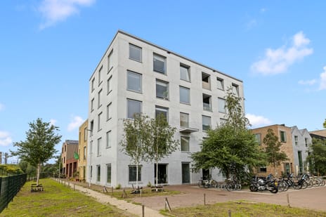 Bromwissel thumbnail