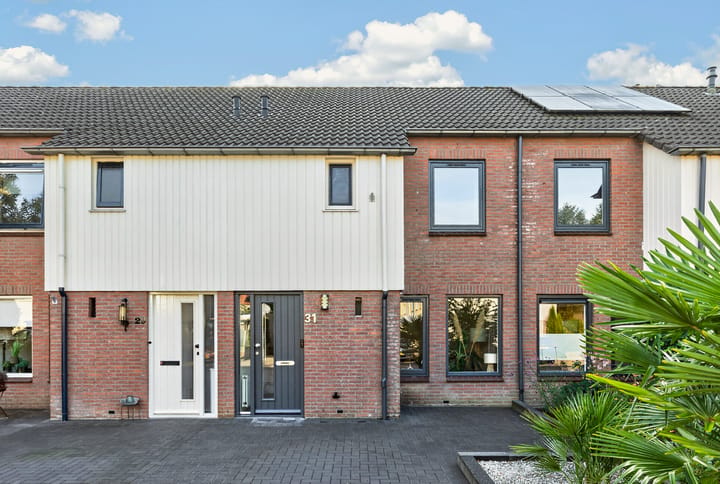 Foto 2 van Ekster 31