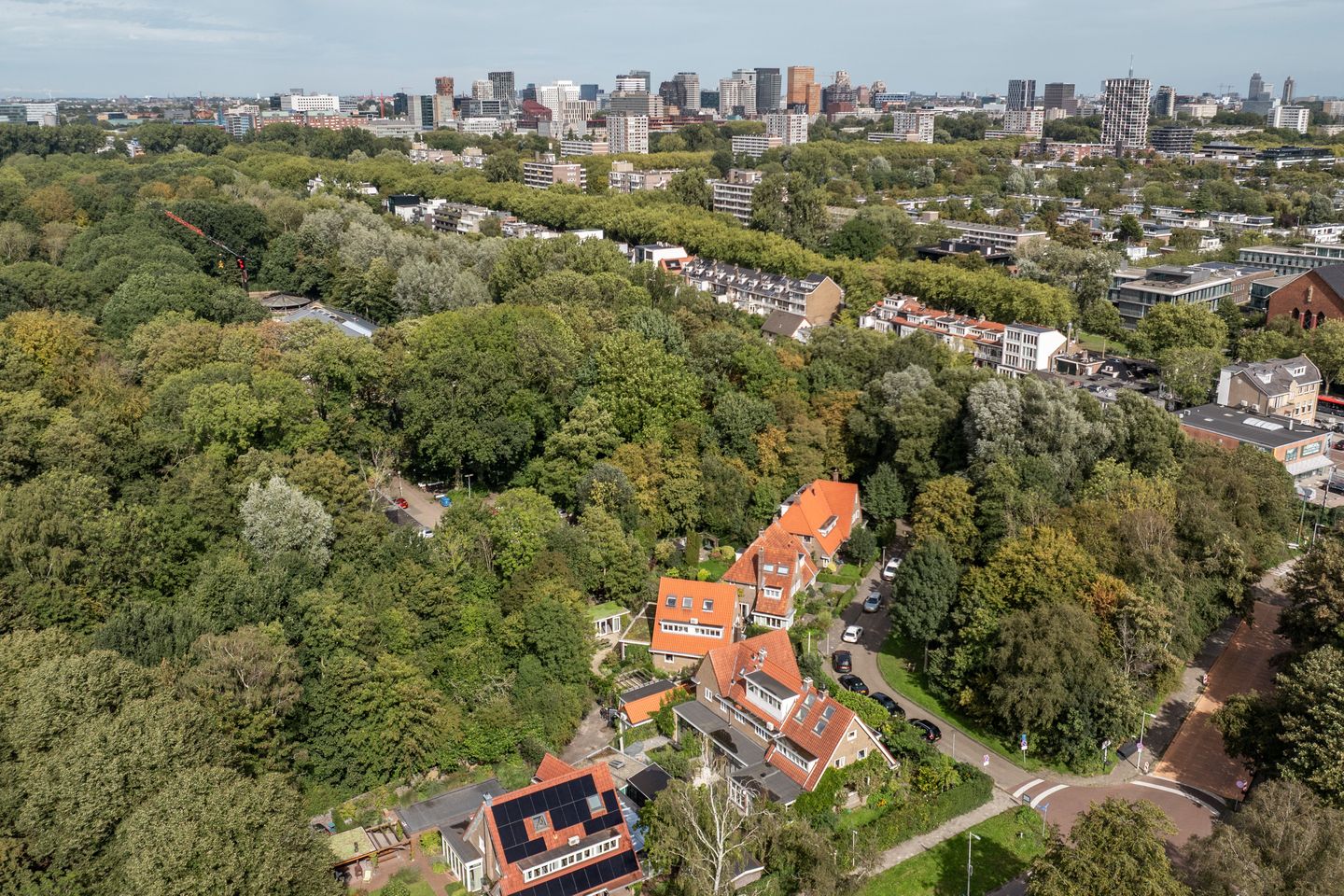 Foto 50 van Jan Tooropplantsoen 12