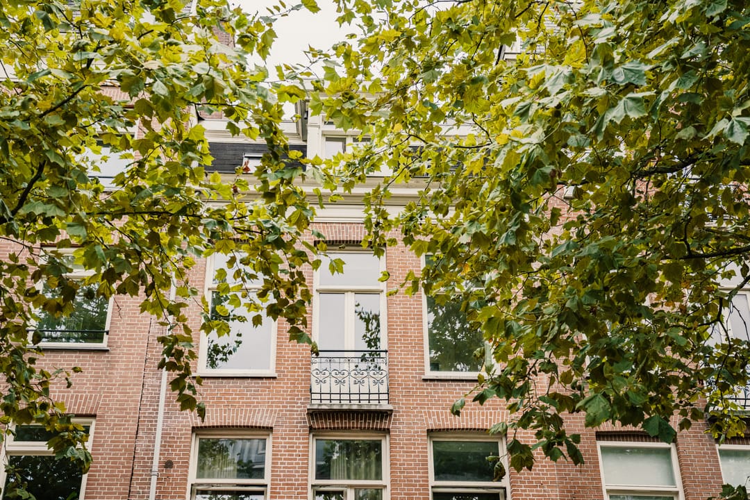 Foto 41 van Ceintuurbaan 236-2