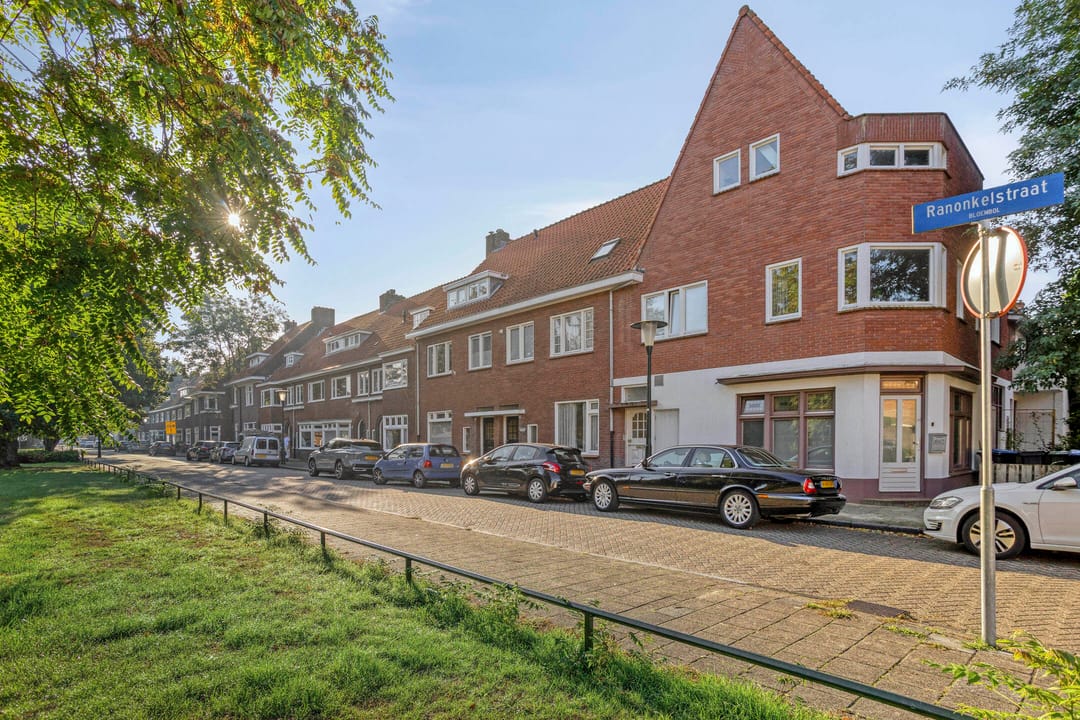 Foto 1 van Ranonkelstraat 41-01