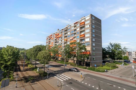 Molenvliet thumbnail
