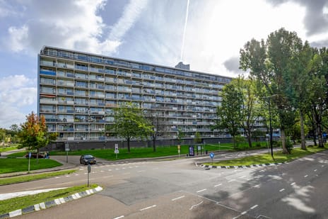 Bachplein thumbnail