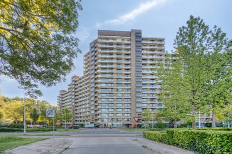 Groningensingel thumbnail