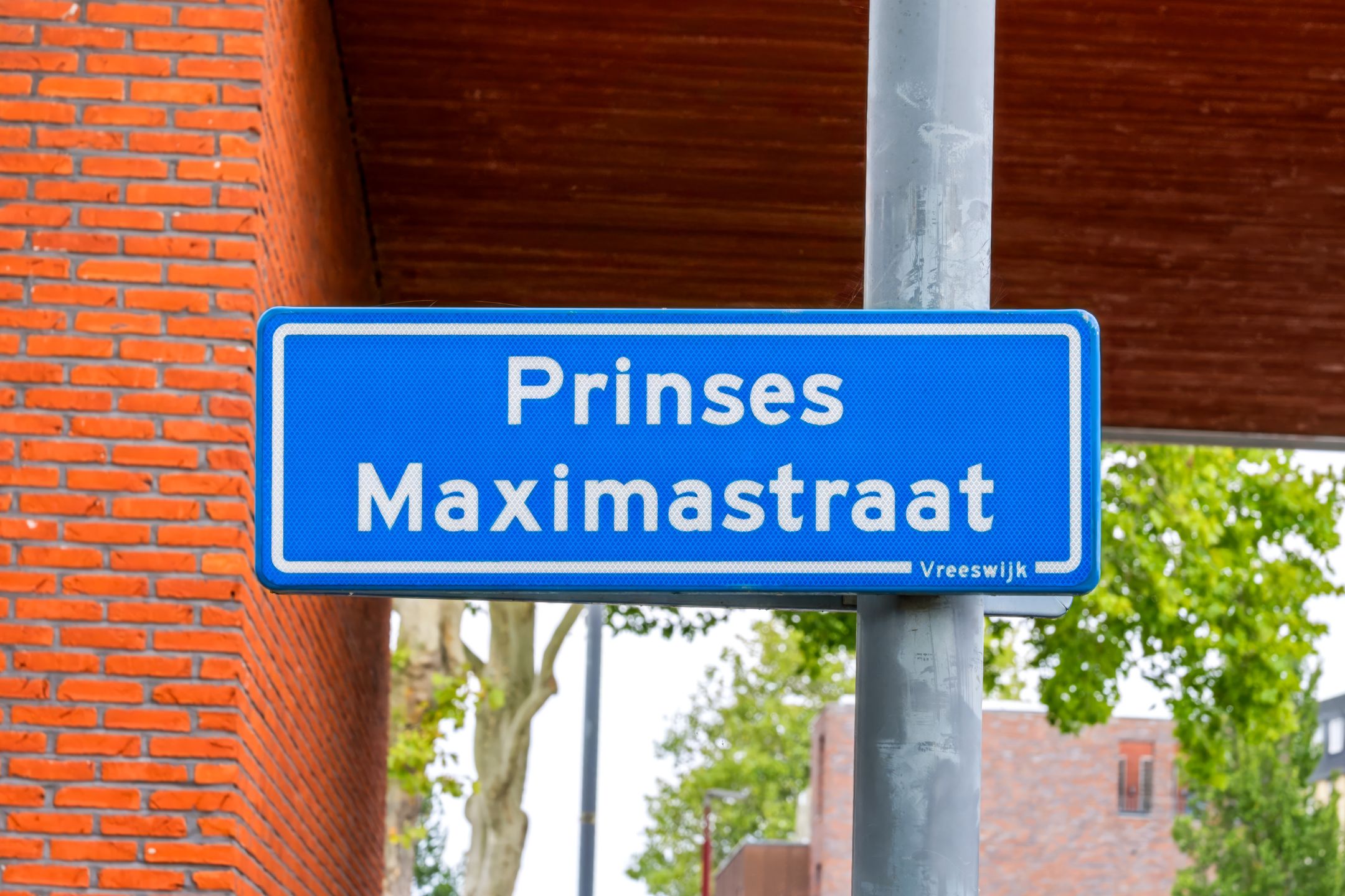 Foto 48 van Prinses Maximastraat 3