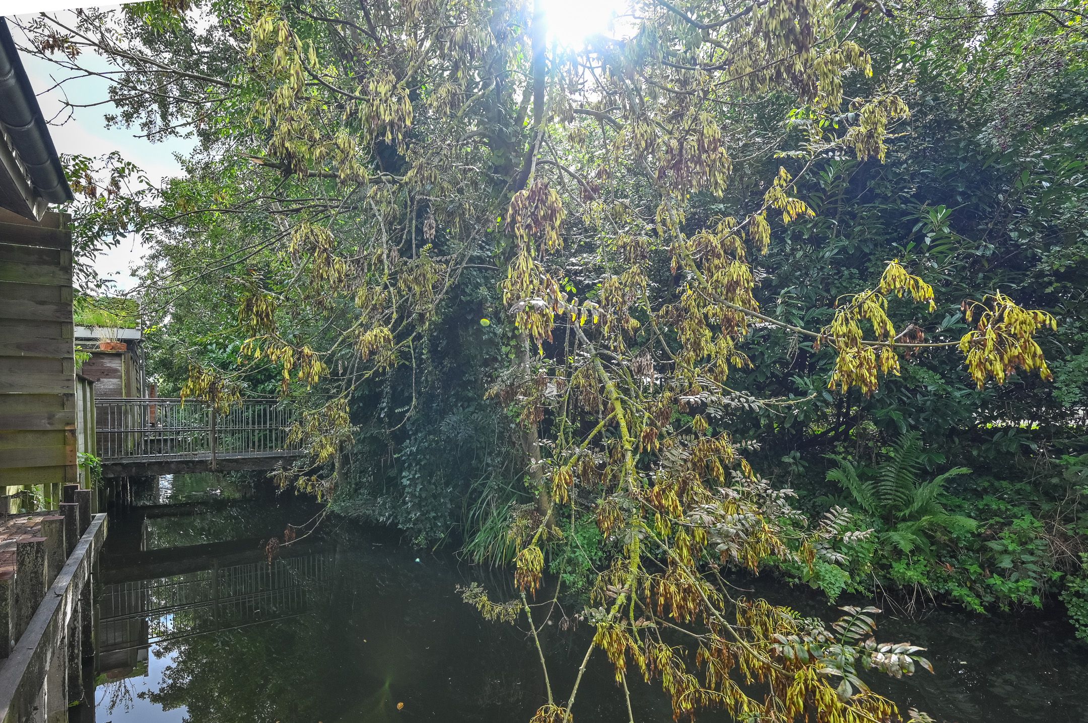 Photo 30 of Slaperdijkweg 42
