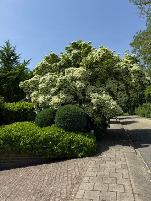 Foto 115 van Brucknerlaan 23