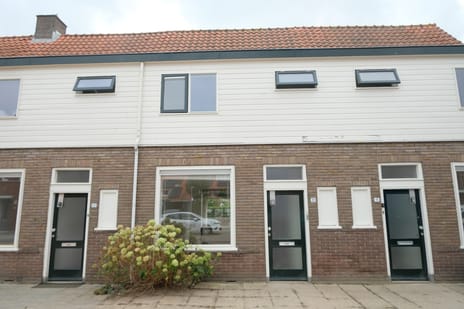Zonnebloemstraat thumbnail