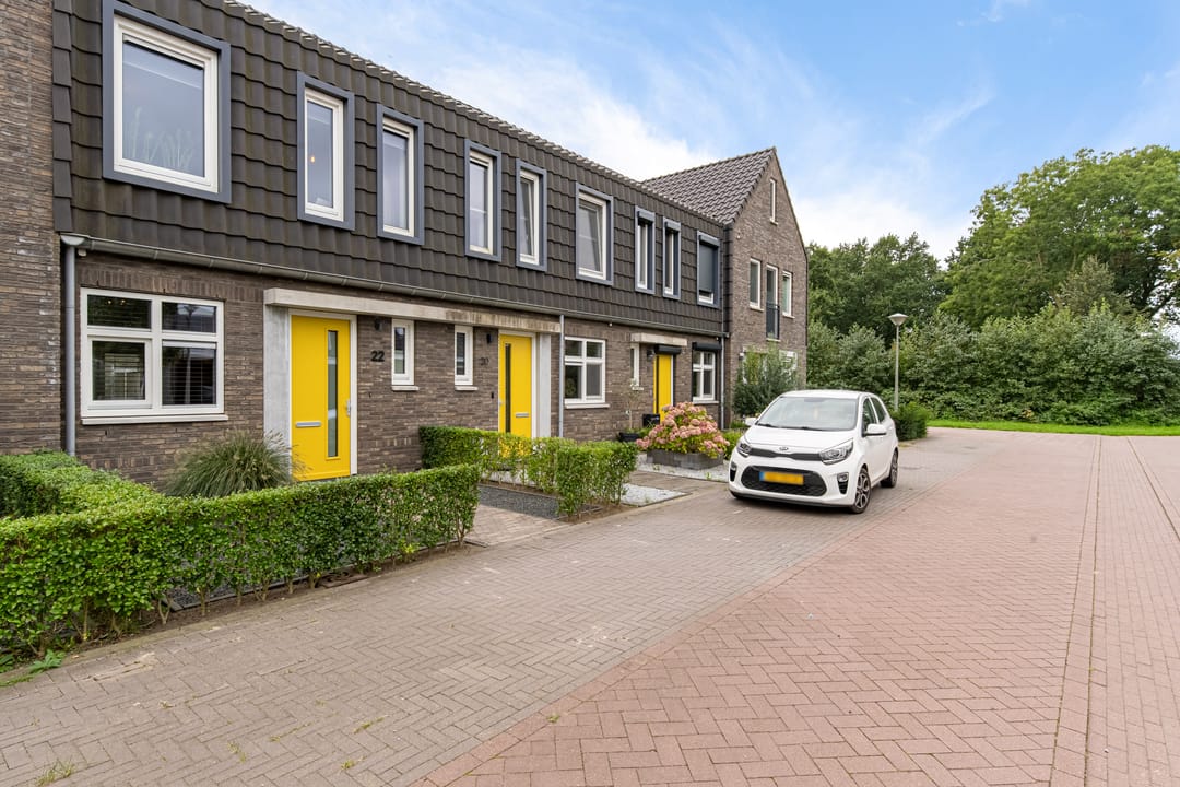 Foto 43 van Lemoenappel 22
