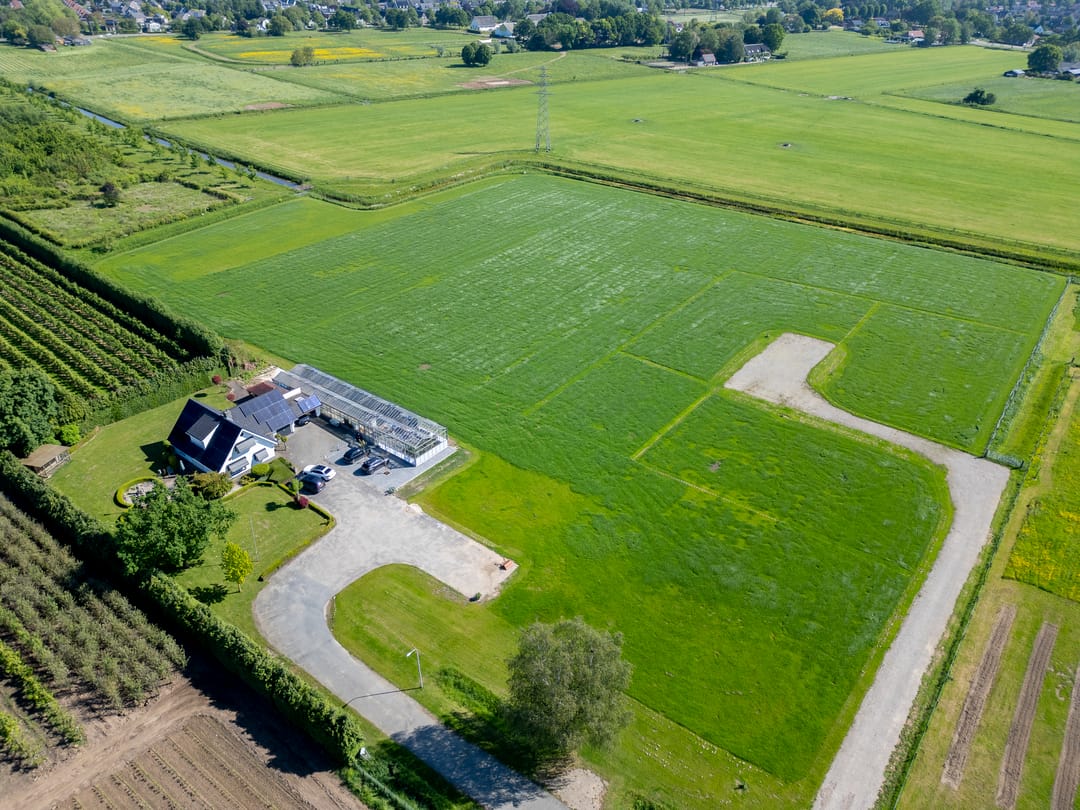 Foto 11 van het Nevelveld