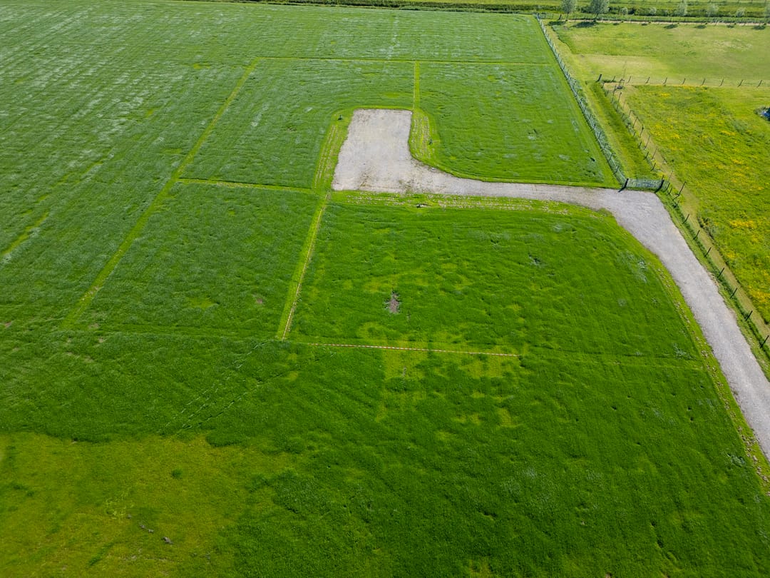 Foto 7 van het Nevelveld