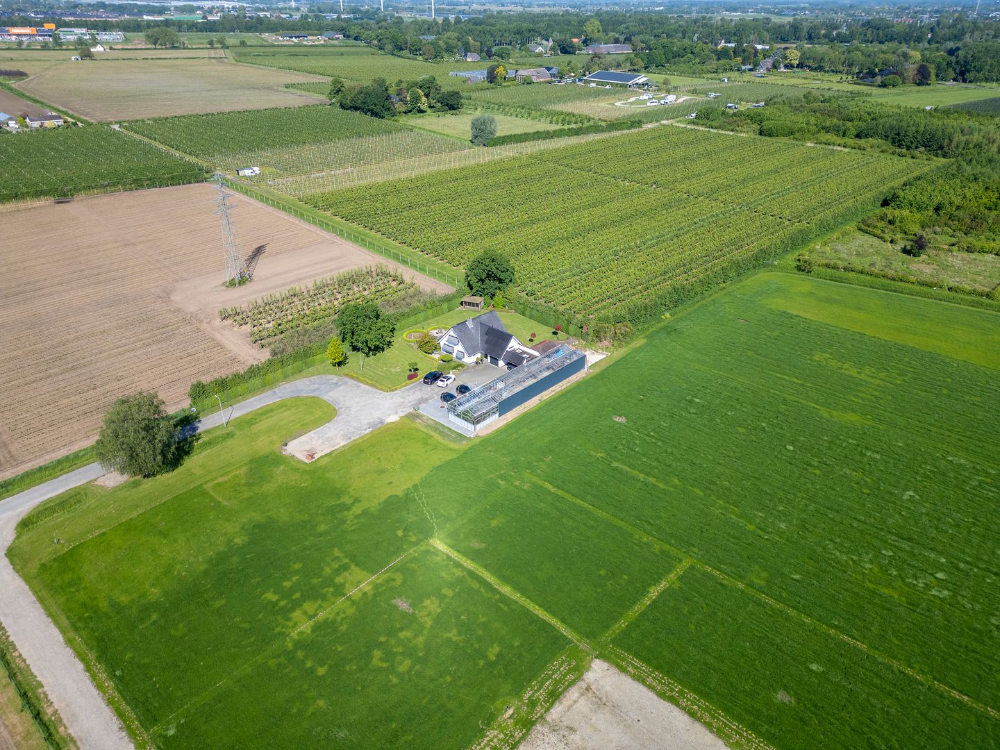 Foto 14 van het Nevelveld